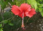 h Pago Pago (27)
